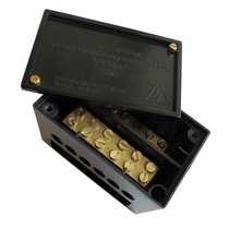 Selectric LINK2 100A DP Connection Block